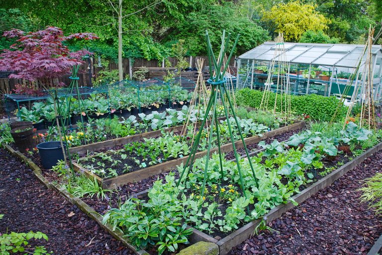 Freelancers in the UK are seeing a surge in demand post-pandemic, but face increased pressure over unstable income and lack of legal protections